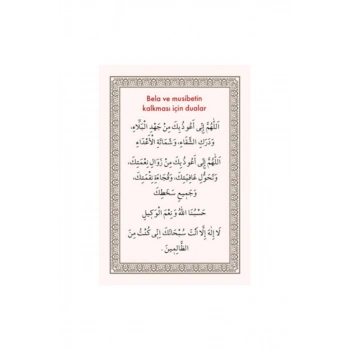 Pvc Bela Ve Musebetin Kalkması 6.2x9.2