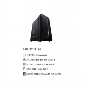 LIONTIM-01 Hazir Sistem Masüstü (Office Kasa) i3-8100T/8 Gb DDR4 3200/256 GB Nvm Ssd/Cpu Ufo Kasa