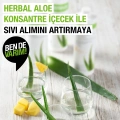 Herbal Aloe Konsantre İçecek 2 Adet
