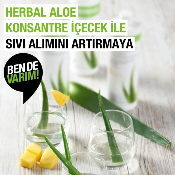 Herbal Aloe Konsantre İçecek 2 Adet