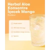 Herbal Aloe Konsantre İçecek Mango Gallon