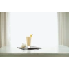 Formül 1 Besleyici Shake Karışımı Muz Aromalı