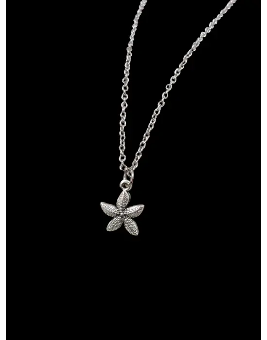 Gümüş Renk Kaplama Deniz Yıldızı Figürlü Minimalist Zincir Kolye