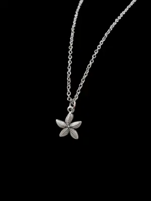 Gümüş Renk Kaplama Deniz Yıldızı Figürlü Minimalist Zincir Kolye