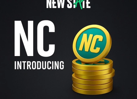 What is PUBG New State NC, What Does It Do?