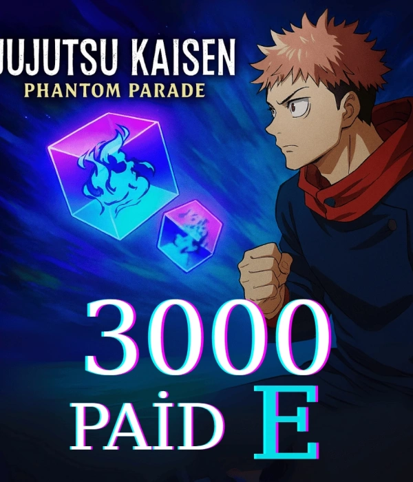 3000 Paid E