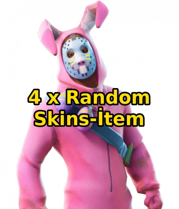 4x Random Fortnite Skin-Item
