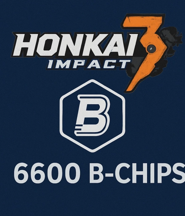 6.600 B-chips