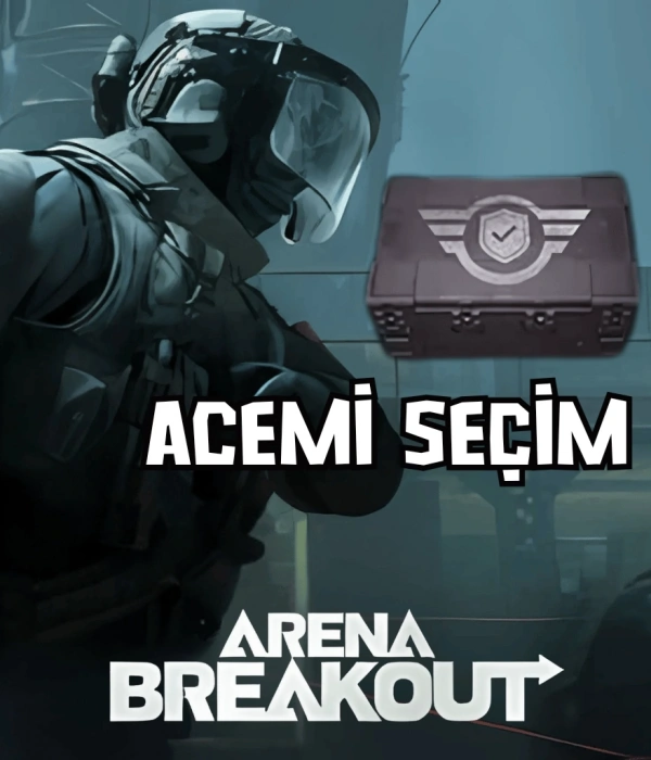 Arena Breakout Beginner Case