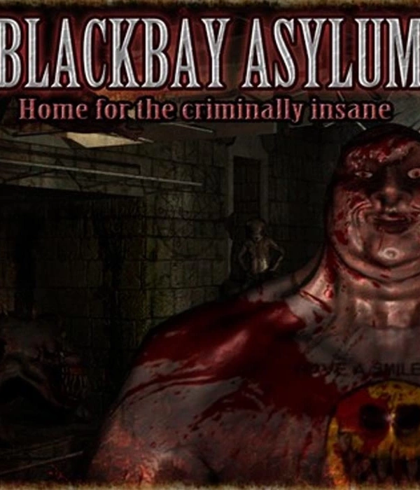 Blackbay Asylum