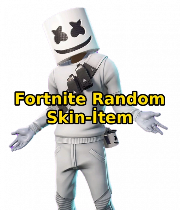 Fortnite Random Skin-Item