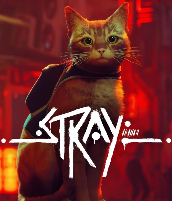 Stray