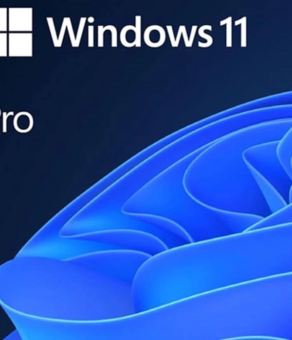Windows 11 Pro