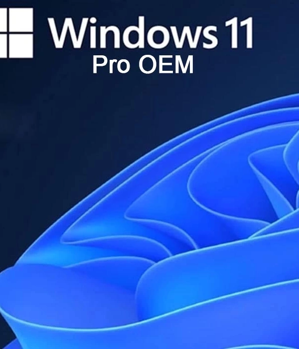 Windows 11 Pro OEM