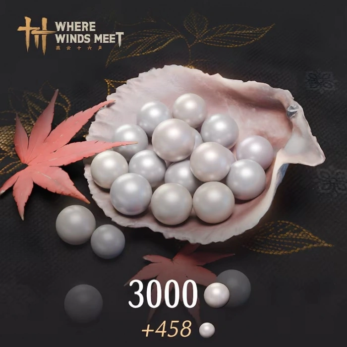3000 Echo Beads