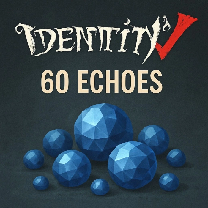 60 + 6 Echoes