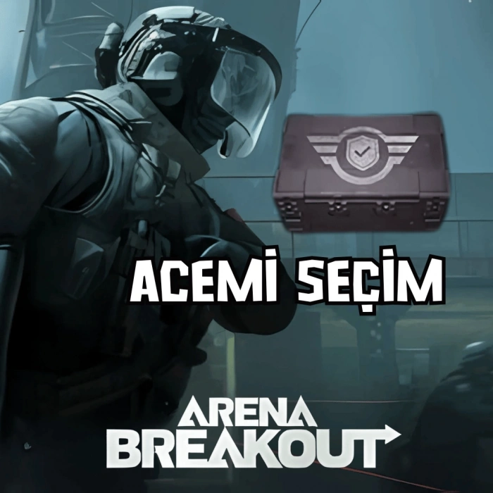Arena Breakout Beginner Case