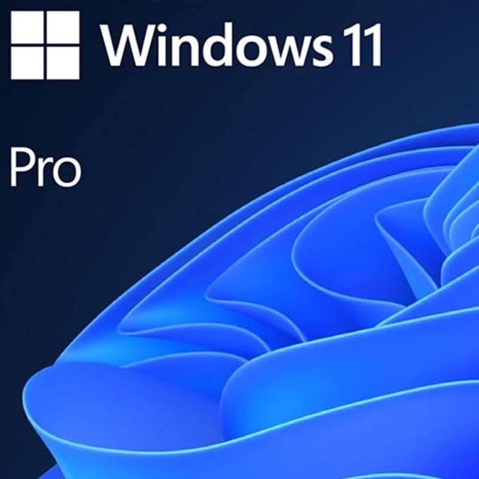 Windows 11 Pro