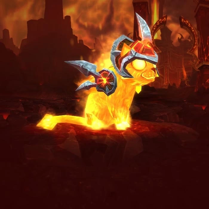 World of Warcraft Cinder Kitten