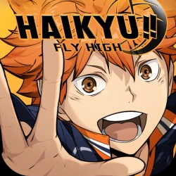 HAIKYU!! FLY HIGH
