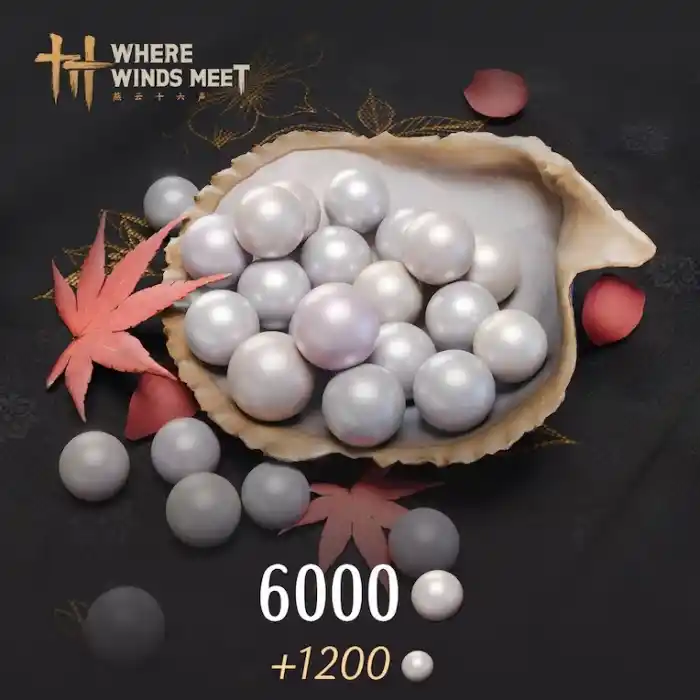 6000 Echo Beads