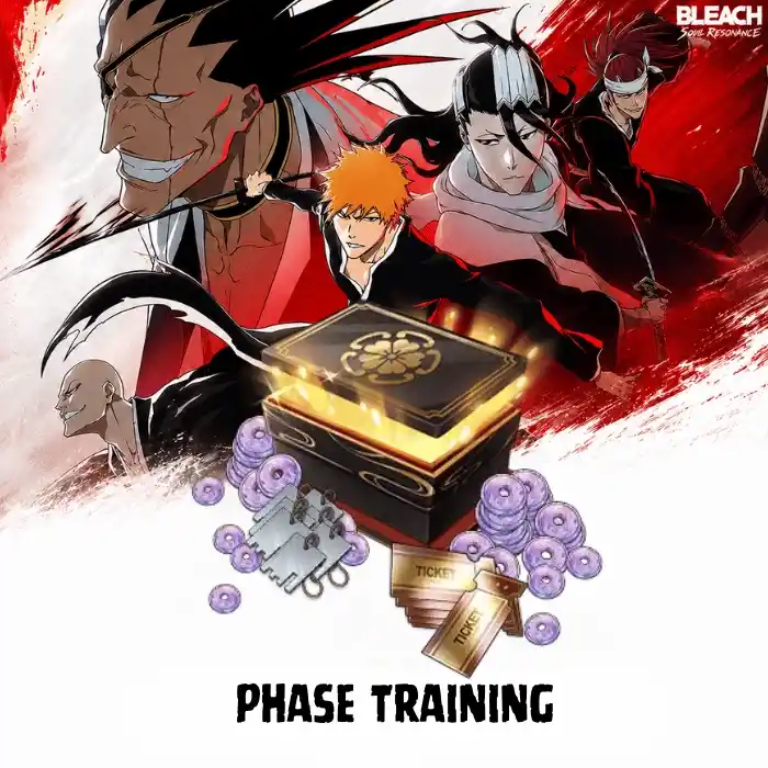 BLEACH: Soul Resonance Phase Training