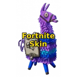 Fortnite Skin