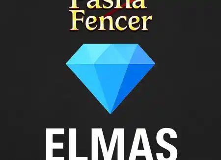 Pasha Fencer Diamanten, Was ist das und wozu dient es?