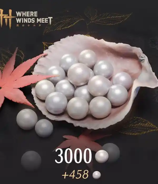 3000 Echo Beads