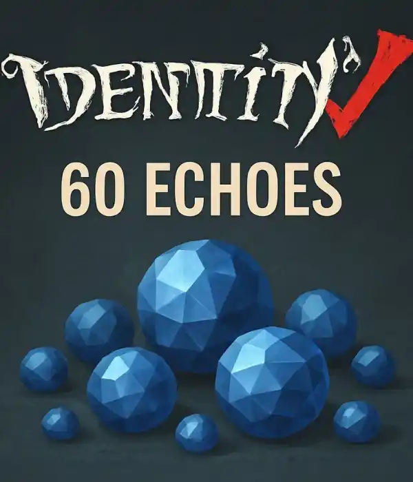 60 + 6 Echoes