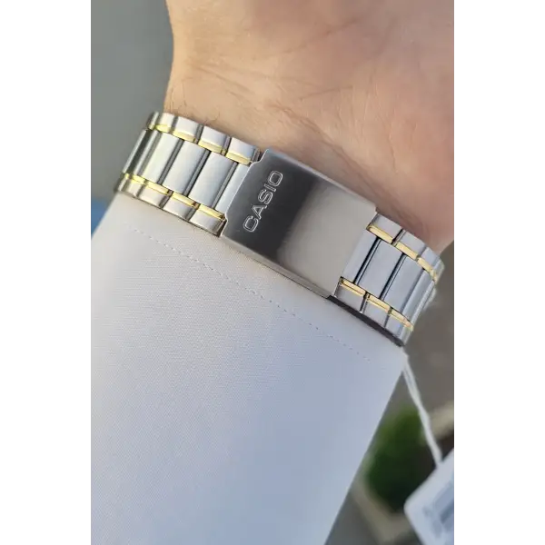 Casio CSISTE50 Gold Gümüş Renk Hediye Paketli Erkek Kol Saati