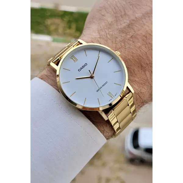 Casio CSISTE202 Gold Renk Hediye Paketli Erkek Kol Saati