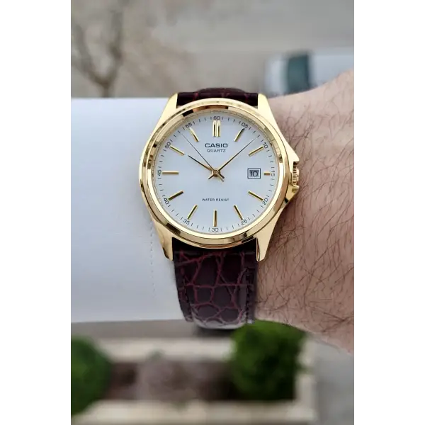 Casio CSISTE209 Casio Kasası Gold Kadranı Beyaz Kordonu Kahverengi Renk Hediye Paketli Erkek Kol Saati