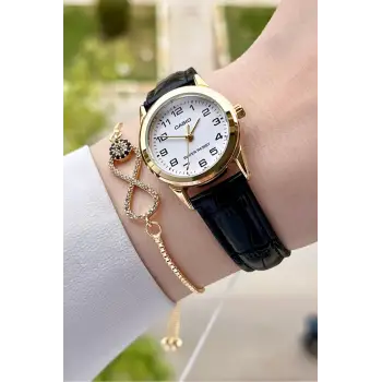 Casio CSISTE20 Kasası Gold Kordonu Siyah Renk Hediye Paketli Kadın Kol Saati