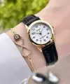 Casio CSISTE20 Kasası Gold Kordonu Siyah Renk Hediye Paketli Kadın Kol Saati