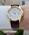Casio CSISTE209 Casio Kasası Gold Kadranı Beyaz Kordonu Kahverengi Renk Hediye Paketli Erkek Kol Saati