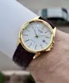 Casio CSISTE209 Casio Kasası Gold Kadranı Beyaz Kordonu Kahverengi Renk Hediye Paketli Erkek Kol Saati
