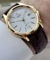 Casio CSISTE209 Casio Kasası Gold Kadranı Beyaz Kordonu Kahverengi Renk Hediye Paketli Erkek Kol Saati