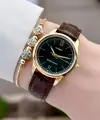 Casio CSISTE219 Casio Kasası Gold Kordonu Kahverengi Renk Hediye Paketli Kadın Kol Saati