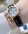 Casio CSISTE215 Casio Kasası Gold Kordonu Siyah Renk Takvimli Hediye Paketli Kadın Kol Saati
