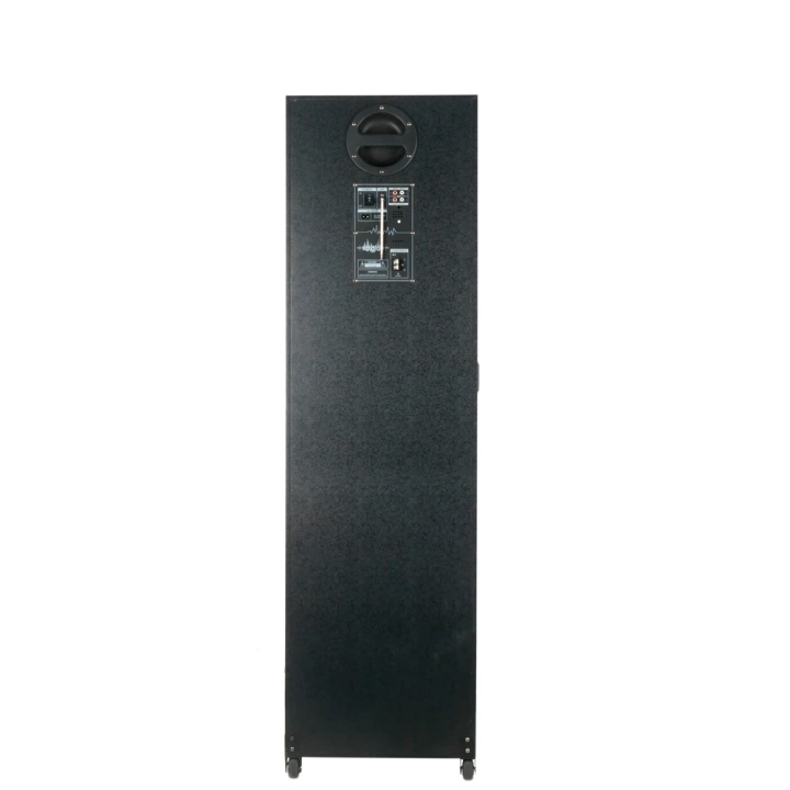 Redclick GD-2126 Dijital LED Göstergeli FM Radyolu Mikrofonlu RGB TWS Çift 12 inç Stereo Bass Kablosuz Karaoke Hoparlör