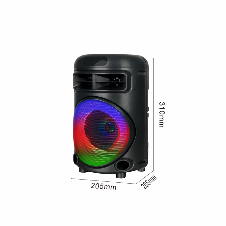 Redclick GD-692 FM Radyolu Mikrofonlu RGB TWS 6.5 inç Stereo Bass Kablosuz Karaoke Hoparlör