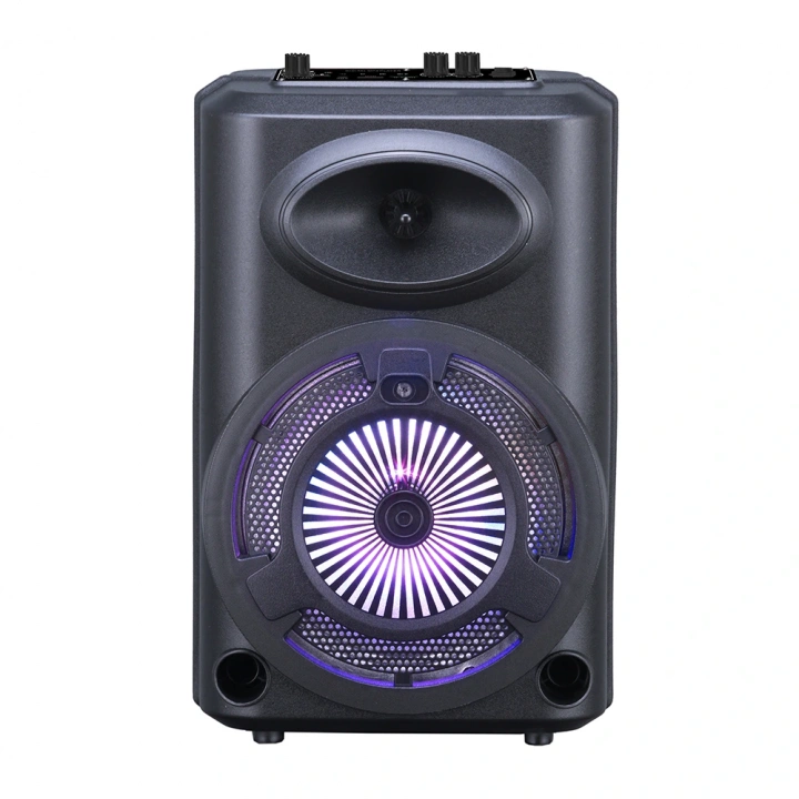 Redclick GD-903 Dijital LED Göstergeli FM Radyolu Mikrofonlu RGB TWS 8 inç Stereo Bass Kablosuz Karaoke Hoparlör