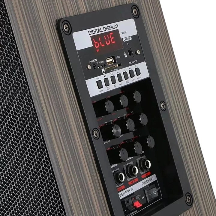 Redclick LT-910 Dijital LED Göstergeli FM Radyolu Mikrofonlu Gitar Girişli TWS 10 inç Stereo Bass Kablosuz Karaoke Hoparlör