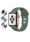 Apple Watch 38mm Redclick Watch Gard 01 Ekran Koruyucu