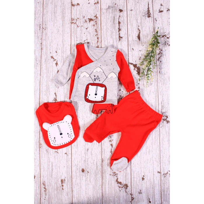 Aslan Figürlü 3lü Erkek Hastane Çıkışı