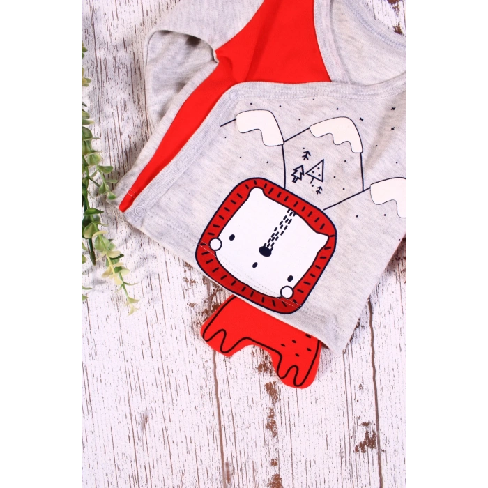 Aslan Figürlü 3lü Erkek Hastane Çıkışı