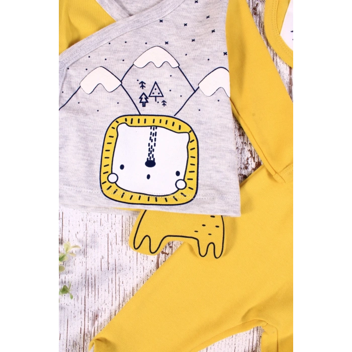 Aslan Figürlü 3lü Erkek Hastane Çıkışı