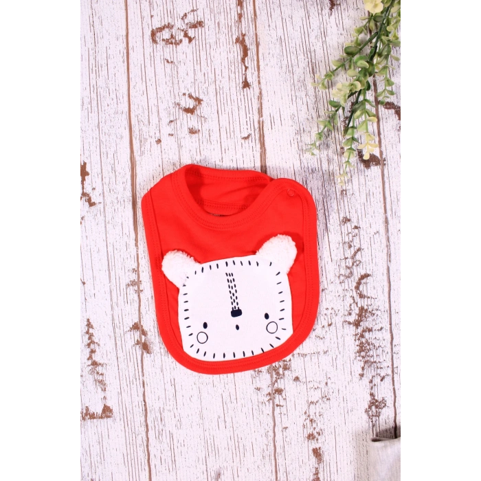 Aslan Figürlü 3lü Erkek Hastane Çıkışı