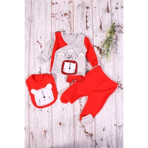 Aslan Figürlü 3lü Erkek Hastane Çıkışı